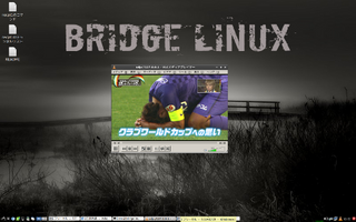 bridgelinux.png