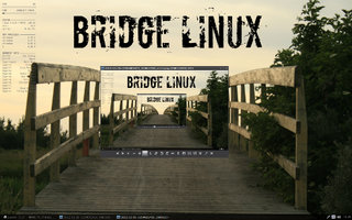 bridgelinux.png