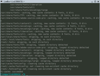 green-black-terminal_2020-08-15_09-59-00.jpg