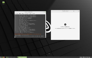 mintupgrade_command_2022-12-20_18-32-49.jpg